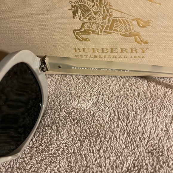 Burberry sunglasses (unisex) main image 7